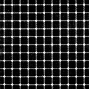 phantom dots illusion